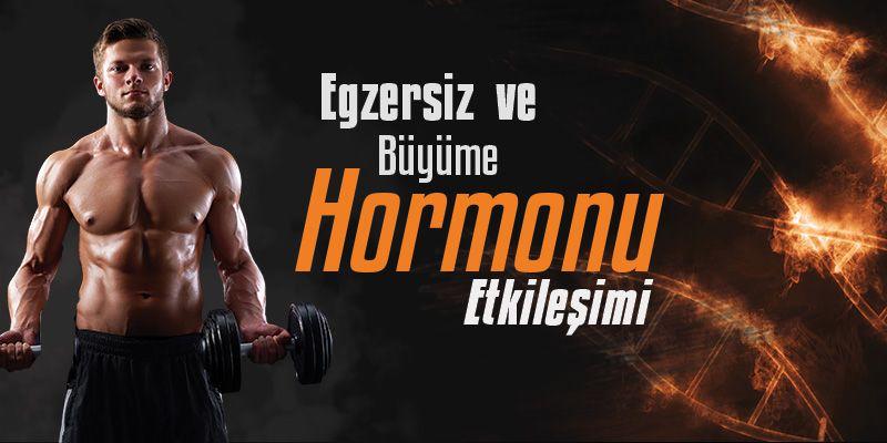 Egzersiz ve Büyüme Hormonu Etkileşimi Egzersiz ve Büyüme Hormonu Etkileşimi